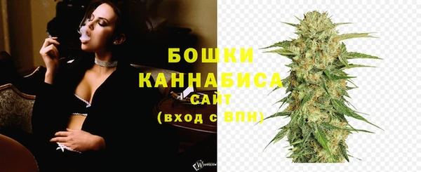 Альфа ПВП Инсар