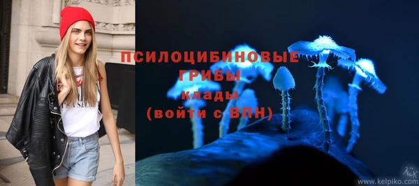 молекула духа Алексеевка
