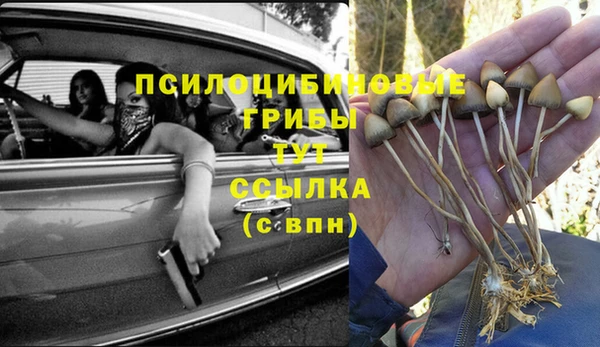 дмт Абинск