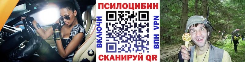 Галлюциногенные грибы Psilocybine cubensis  Чекалин 